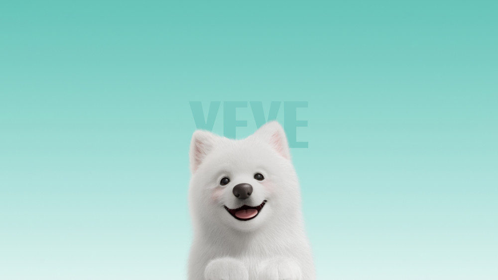 Samoyed Wallpaper