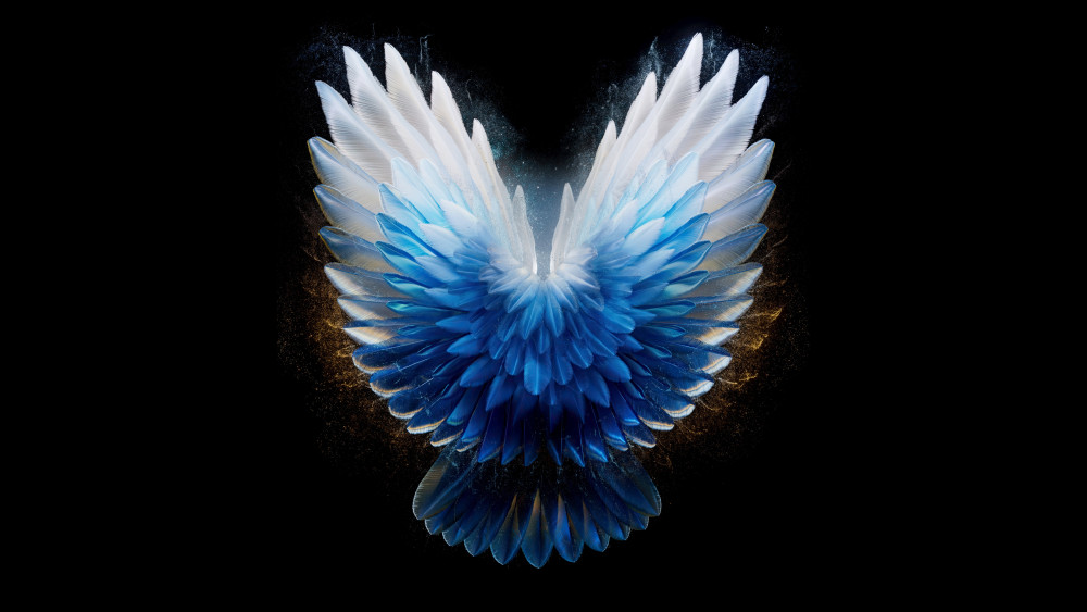 Angel wings Wallpaper
