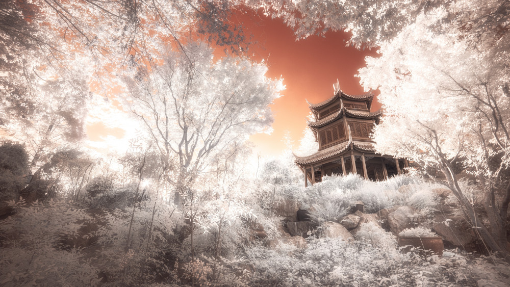 Pagoda Wallpaper