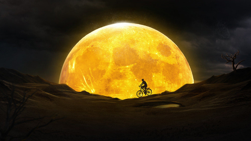 Bicycle Wallpaper