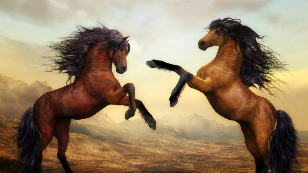 Wild Horses Wallpaper