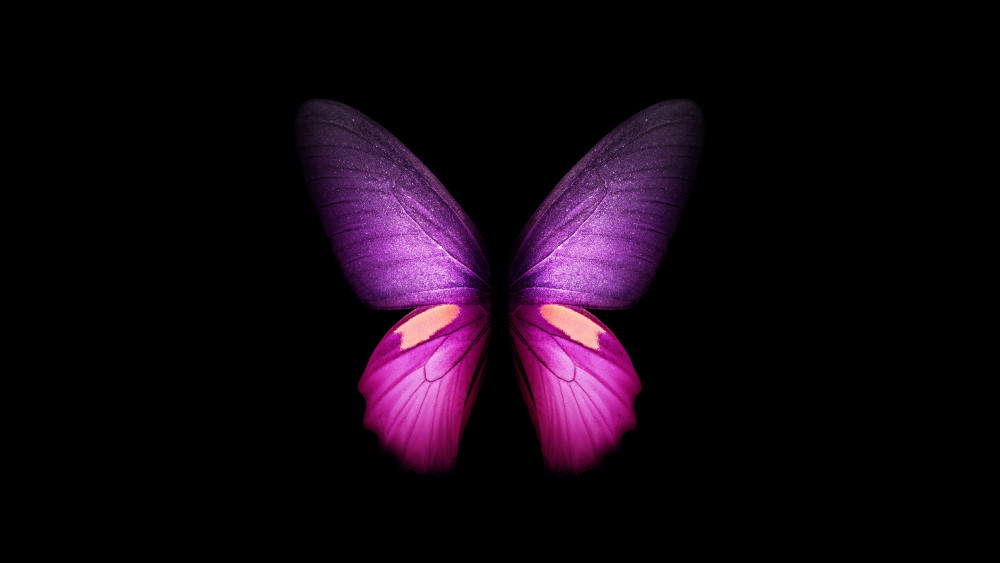 Purple Butterfly Wallpaper