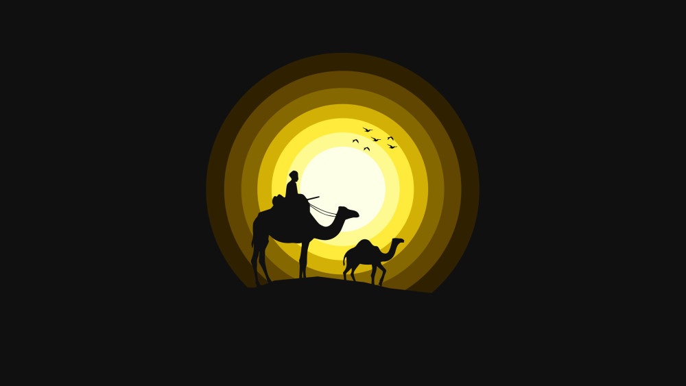 Camels Wallpaper