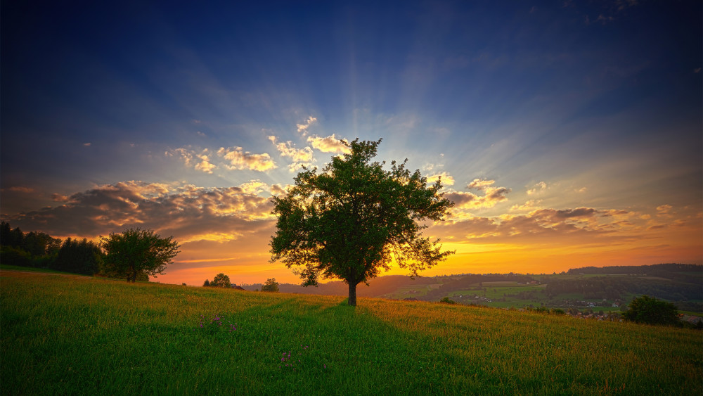 Swiss Plateau Wallpaper
