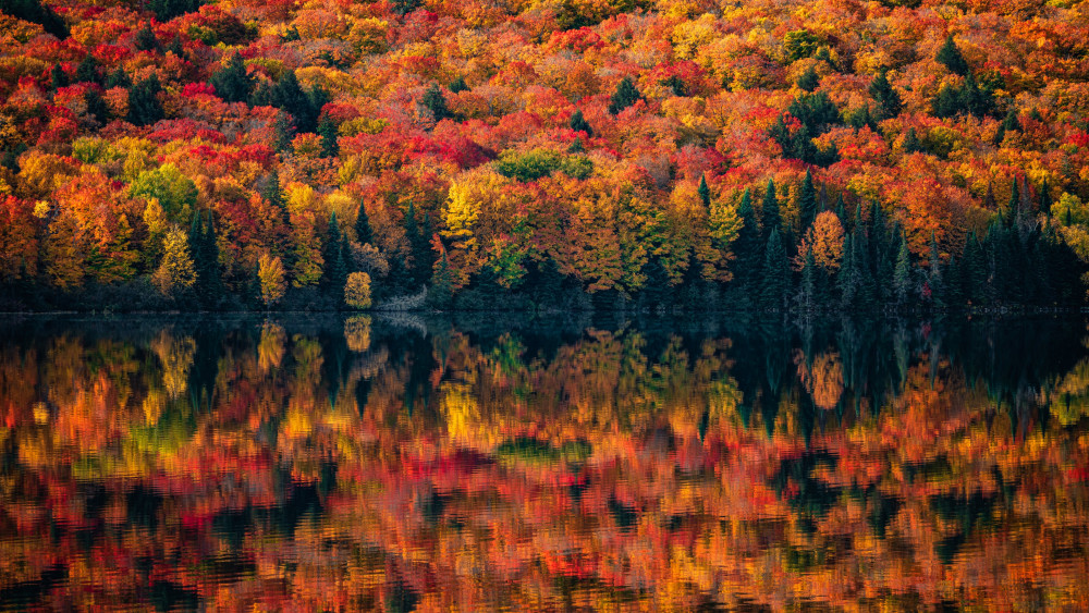 Algonquin Provincial Park Wallpaper