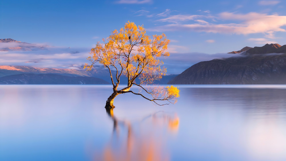 Lake Wanaka Wallpaper