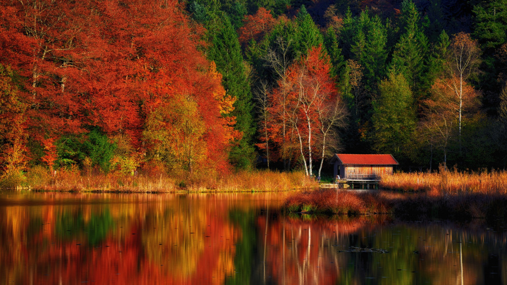 Autumn Scenery Wallpaper