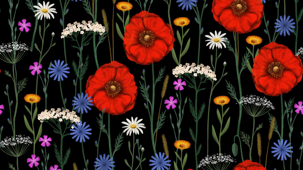 Poppies Wallpaper