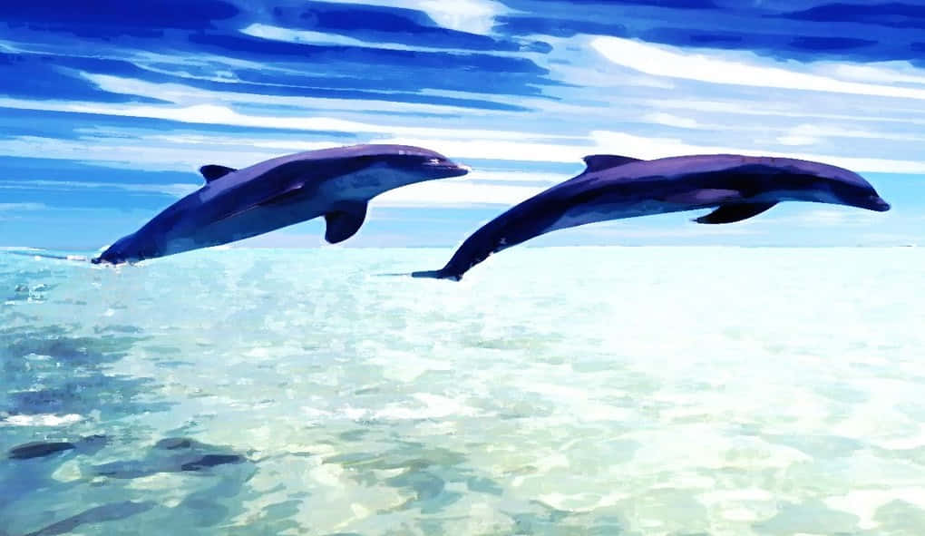 Animal Desktop Background Collection