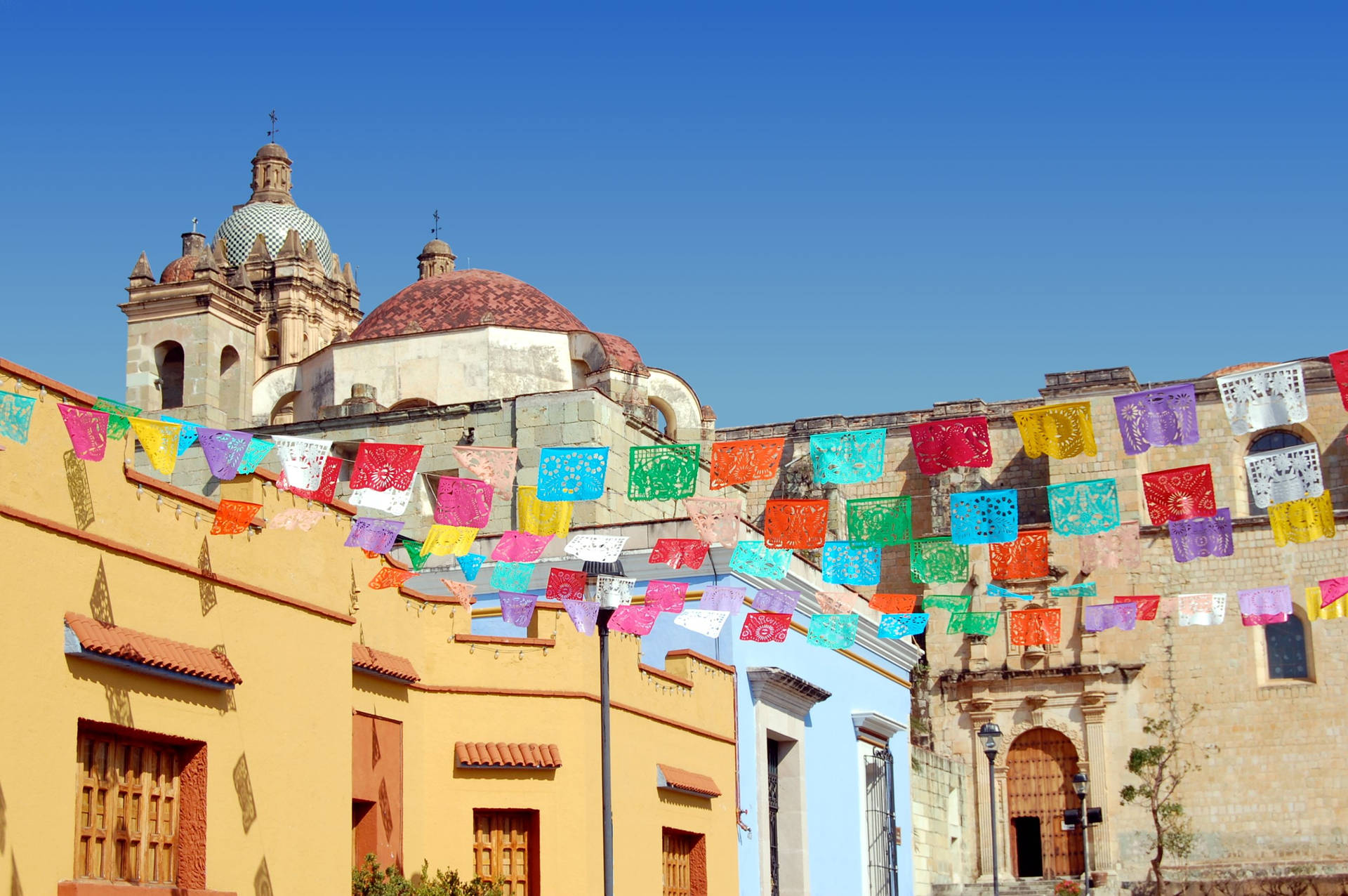 Breathtaking Colorful Buntings In Oaxaca Wall Art