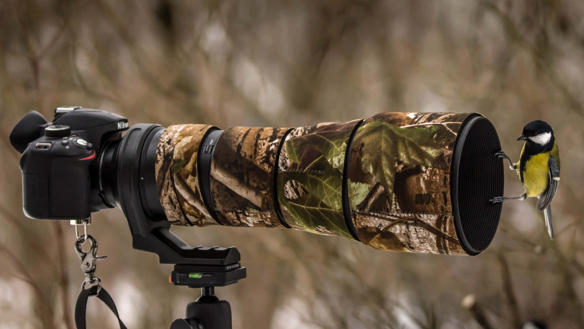 Dynamic Nature Wallpaper