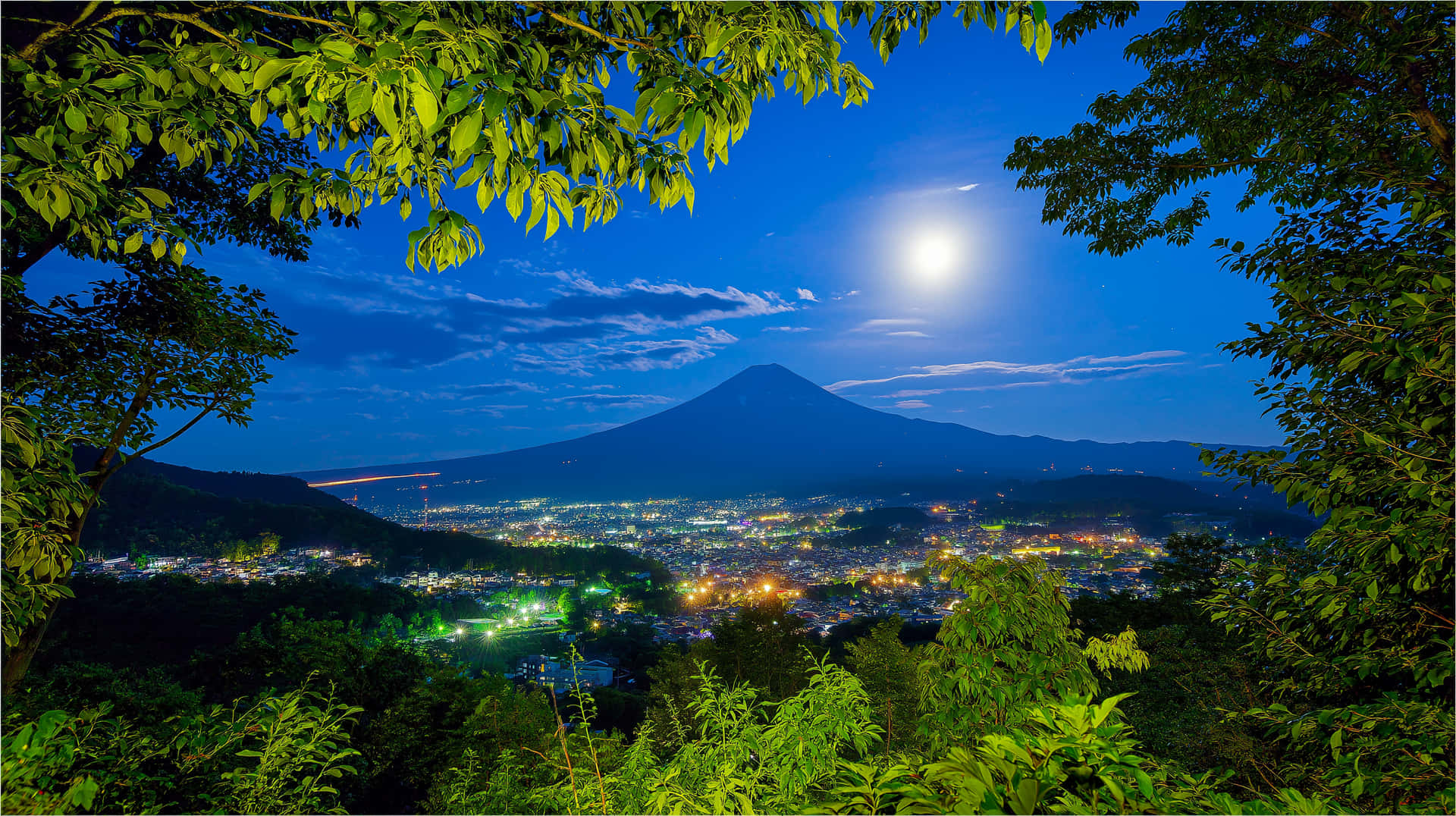 Elegant Nature Artwork