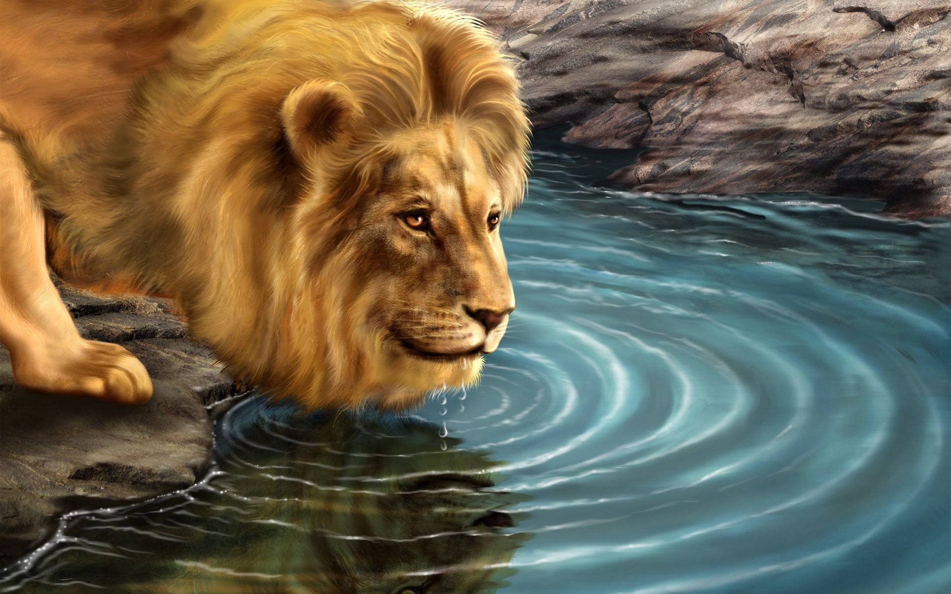 Exclusive Lion Background
