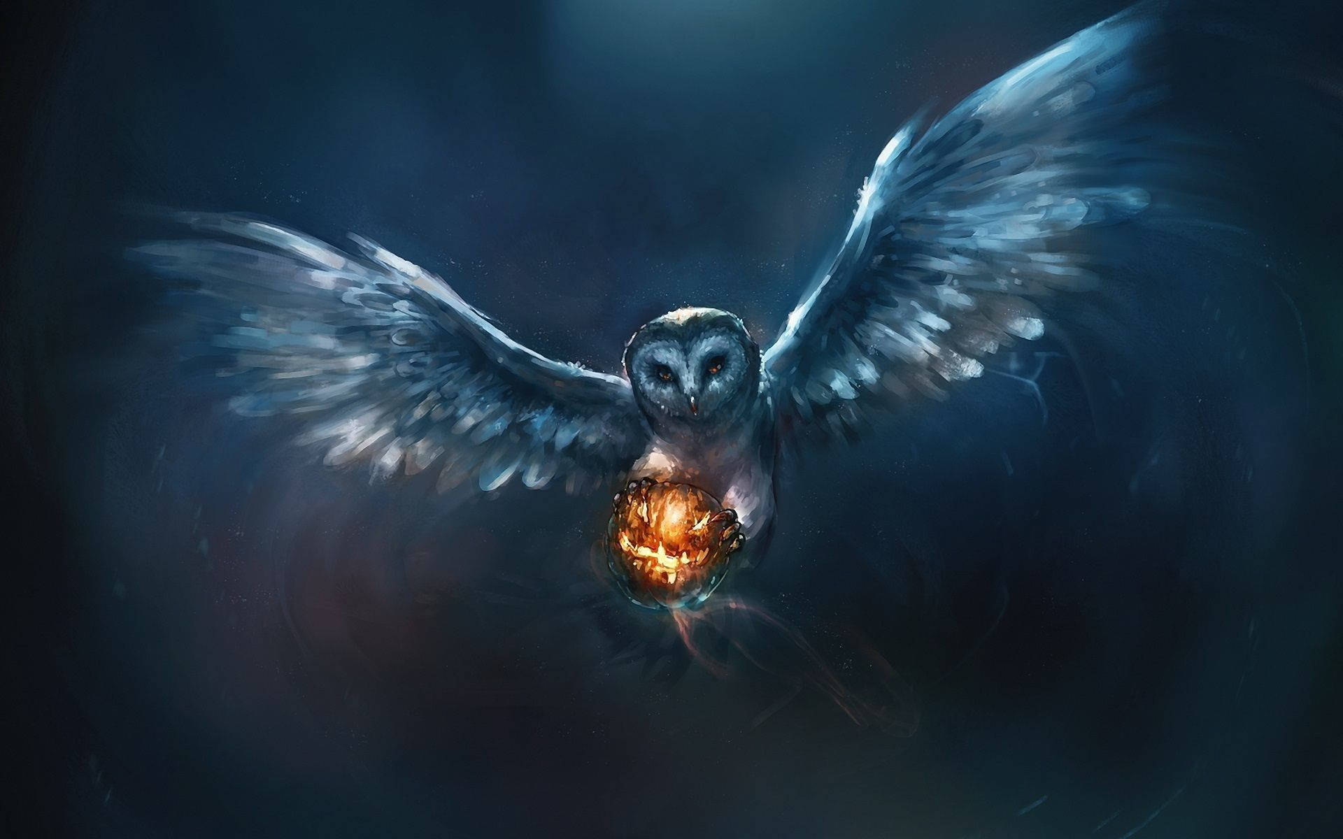 Exclusive Owl Background Image