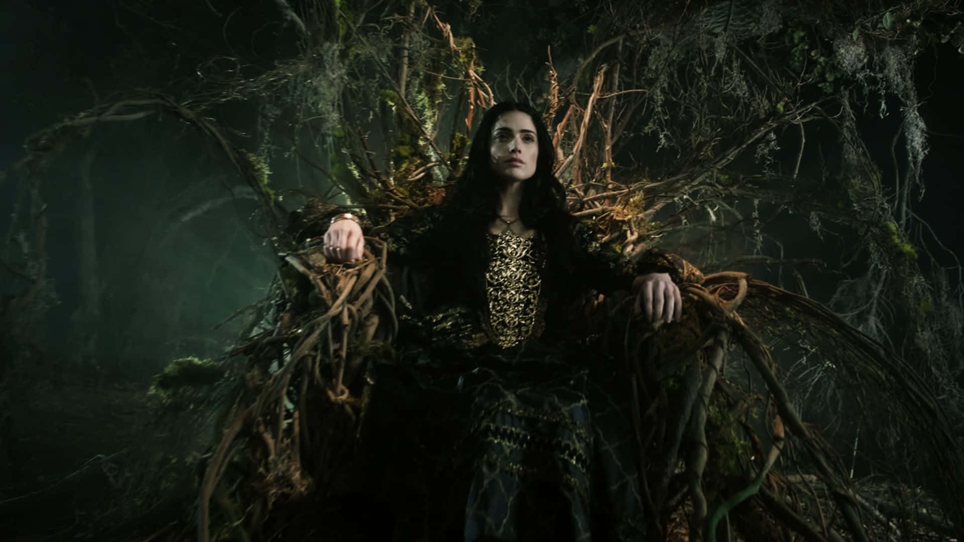 Forest Collection #10