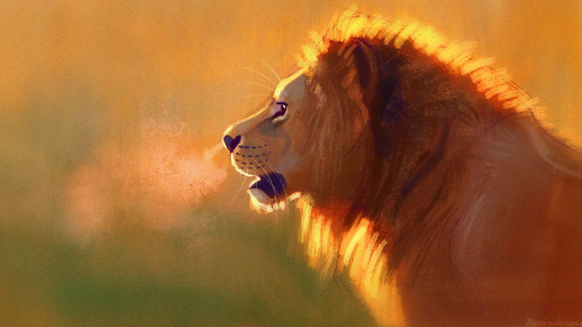 HD Lion Wallpaper Pack