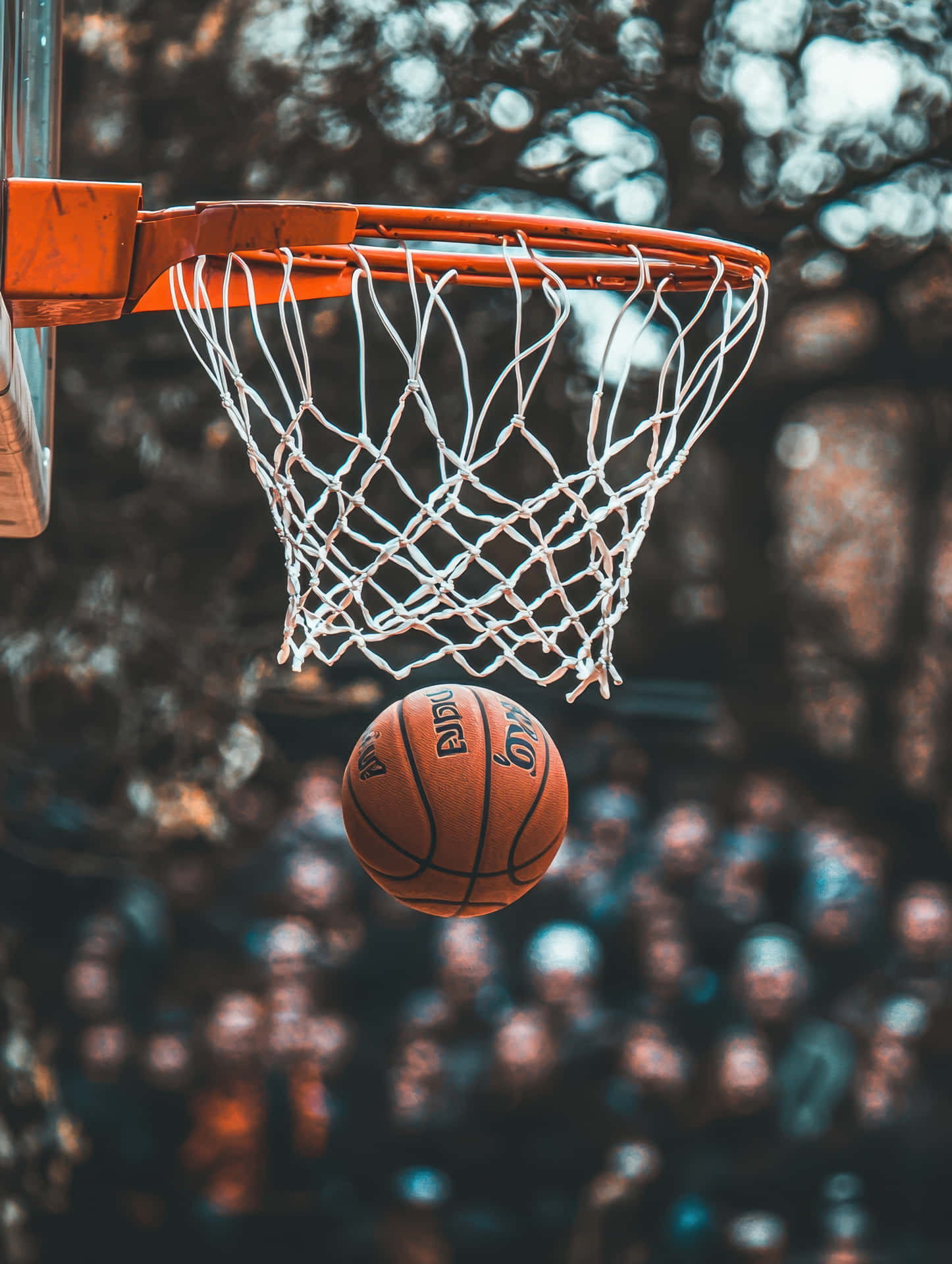 High-Quality Close-up Basketball Action Shot Swishing Through The Hoop Outdoors Background
