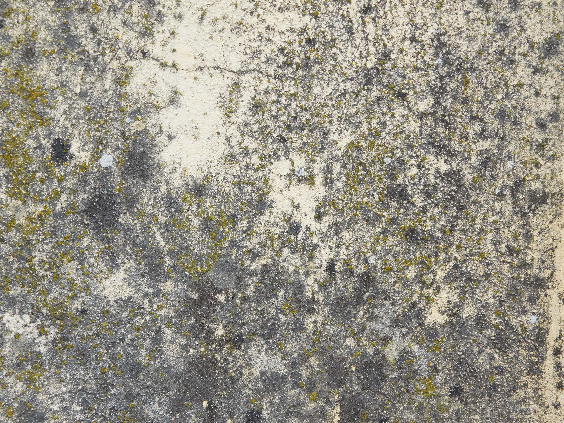 High-Quality Stone Texture Desktop Background