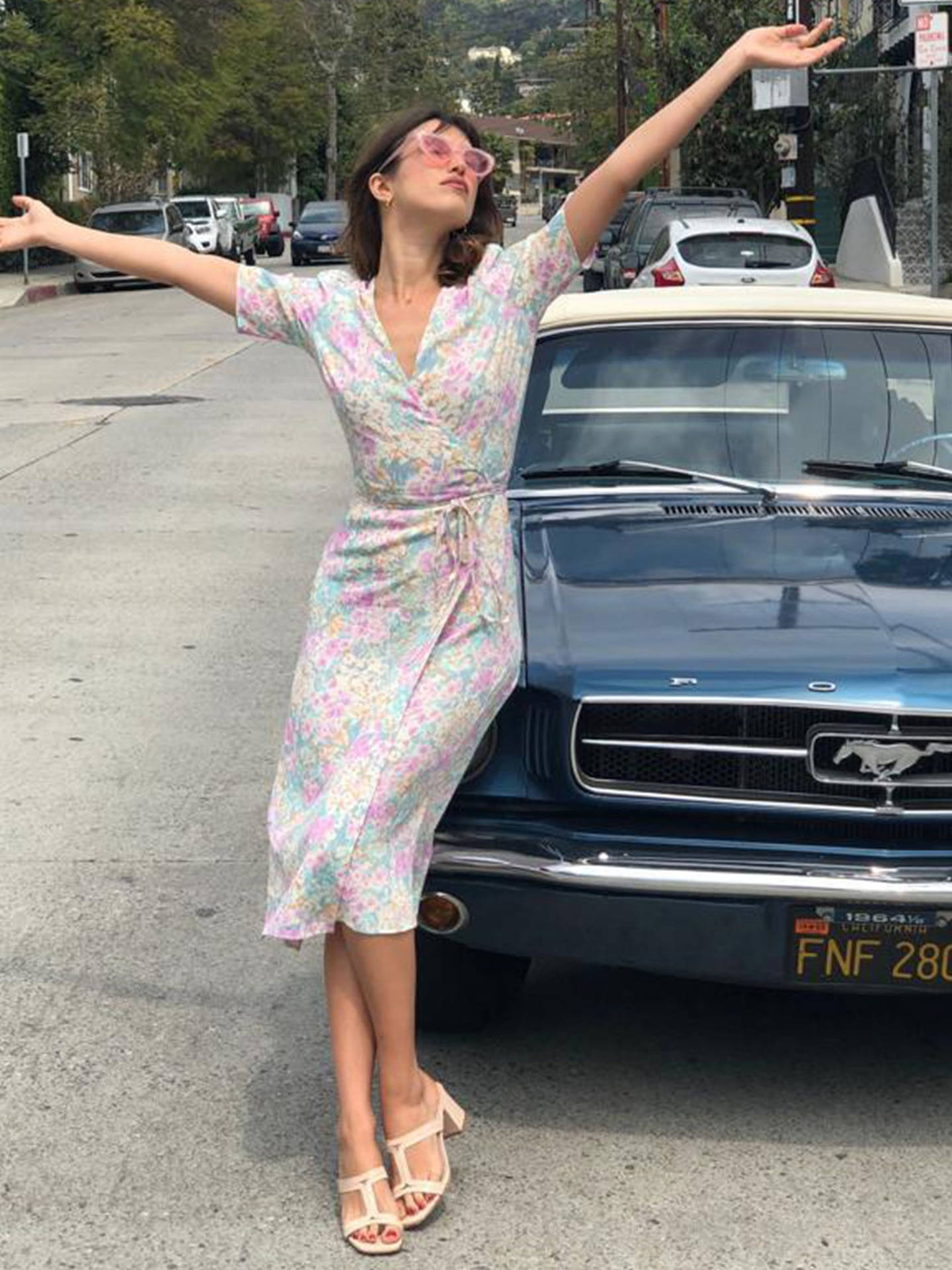 Magnificent Mustang Digital Art