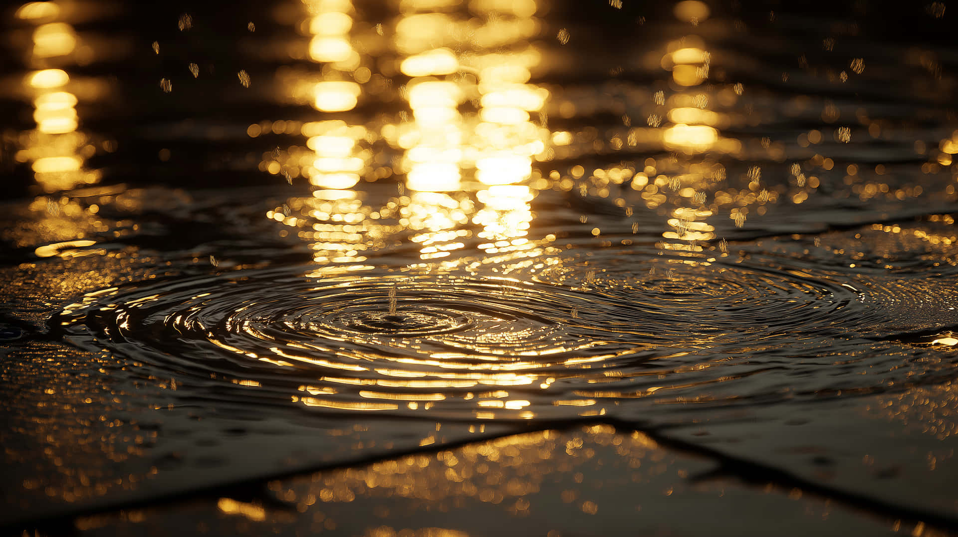 Nature Collection #3