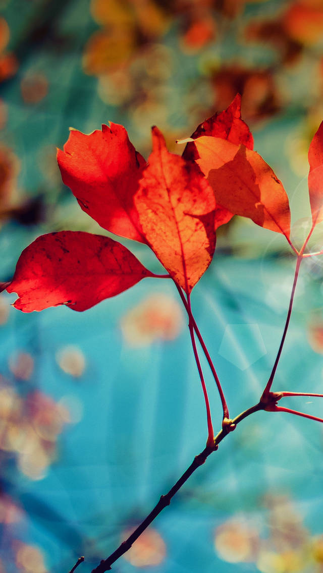 Perfect Astonishing Clarity With Samsung Ultra 4k Wallpaper