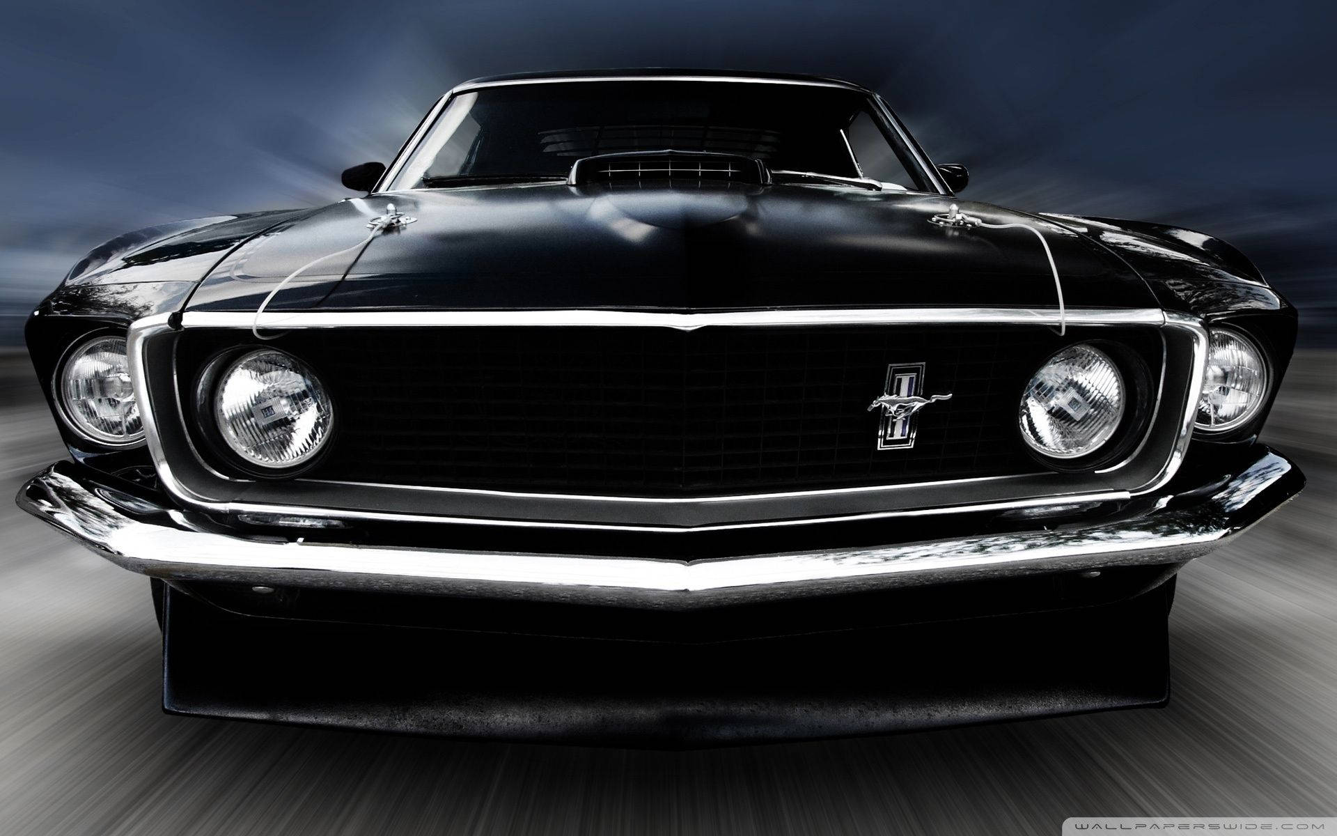 Premium Mustang Series #10