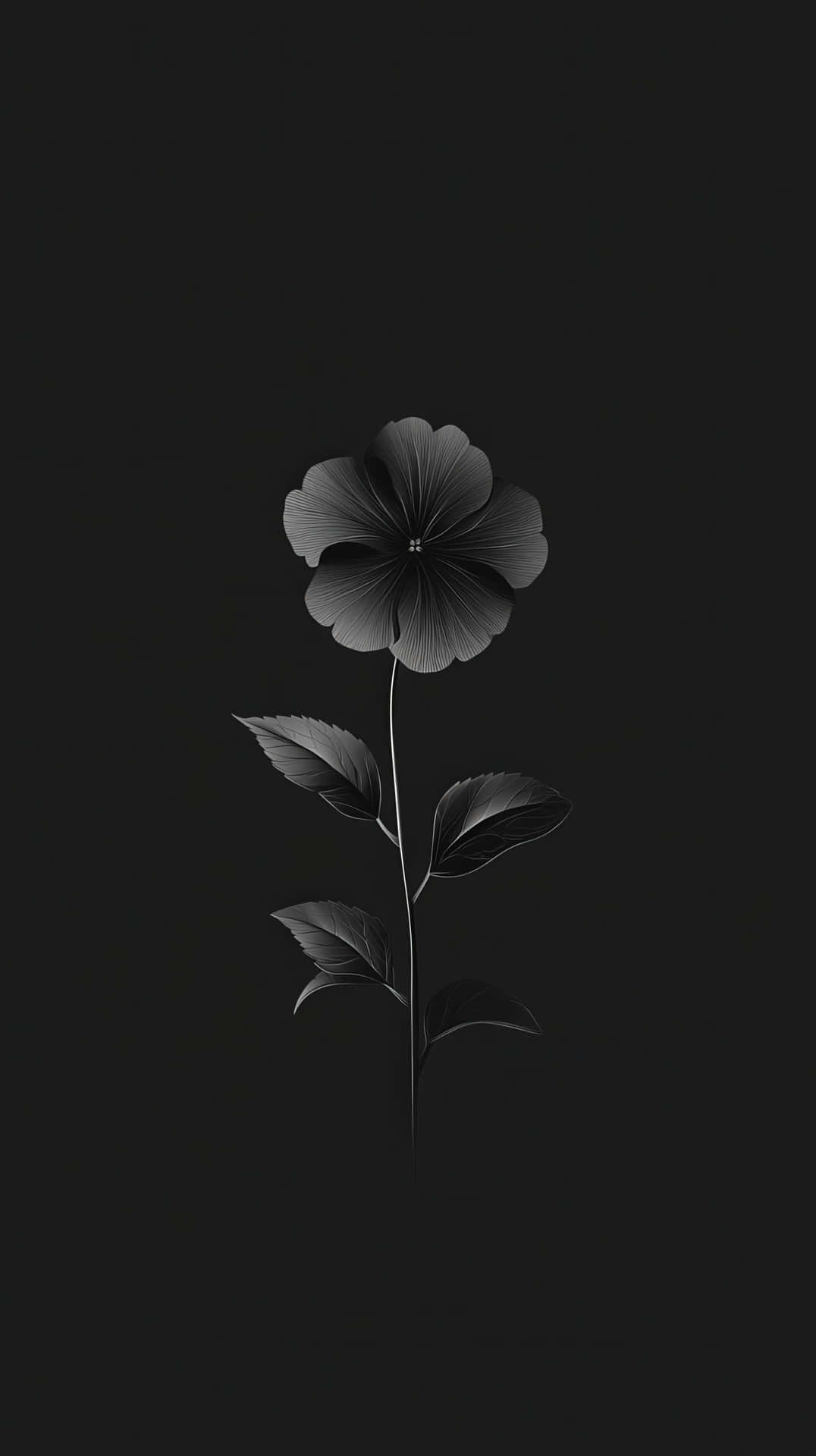 Premium Nature Series #14