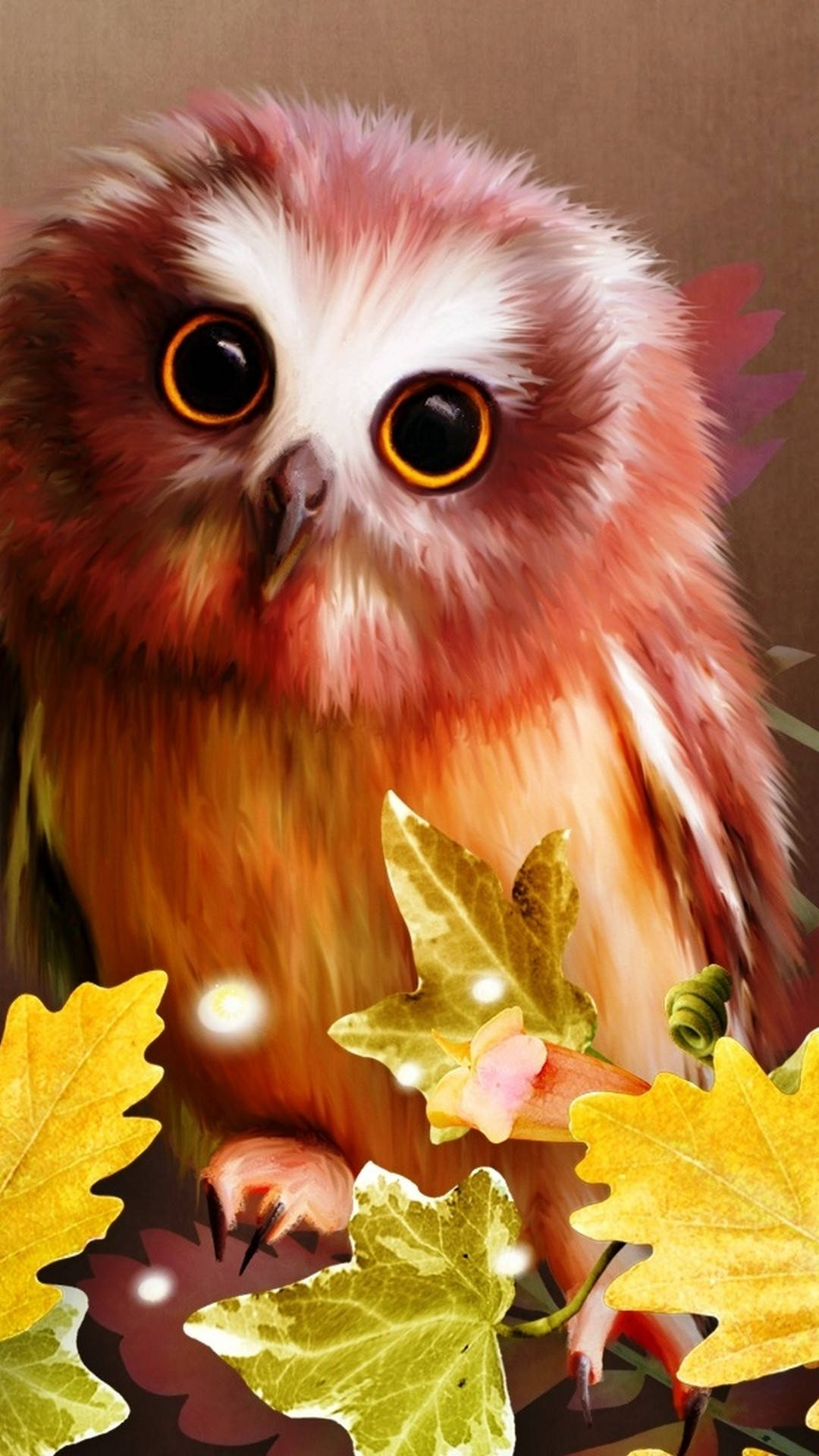 Premium Owl Series #809
