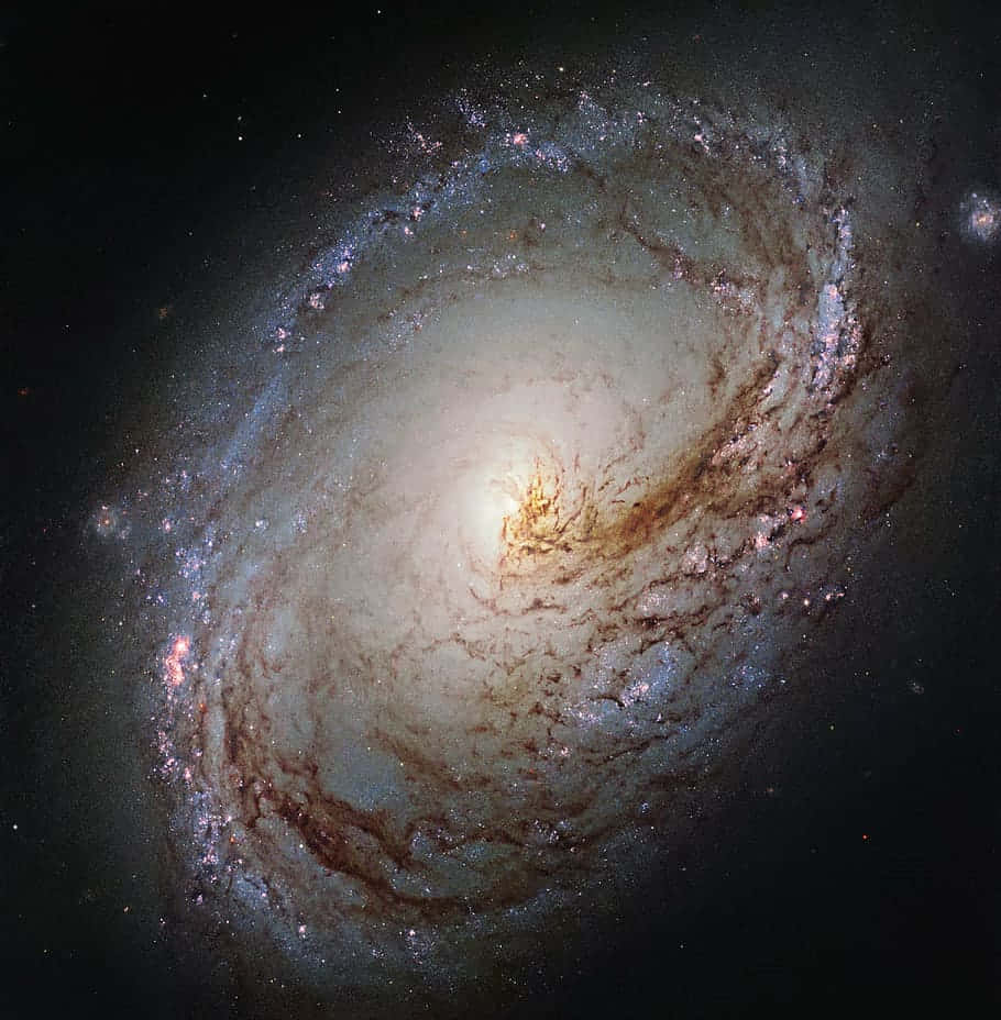 Premium Space Series #23