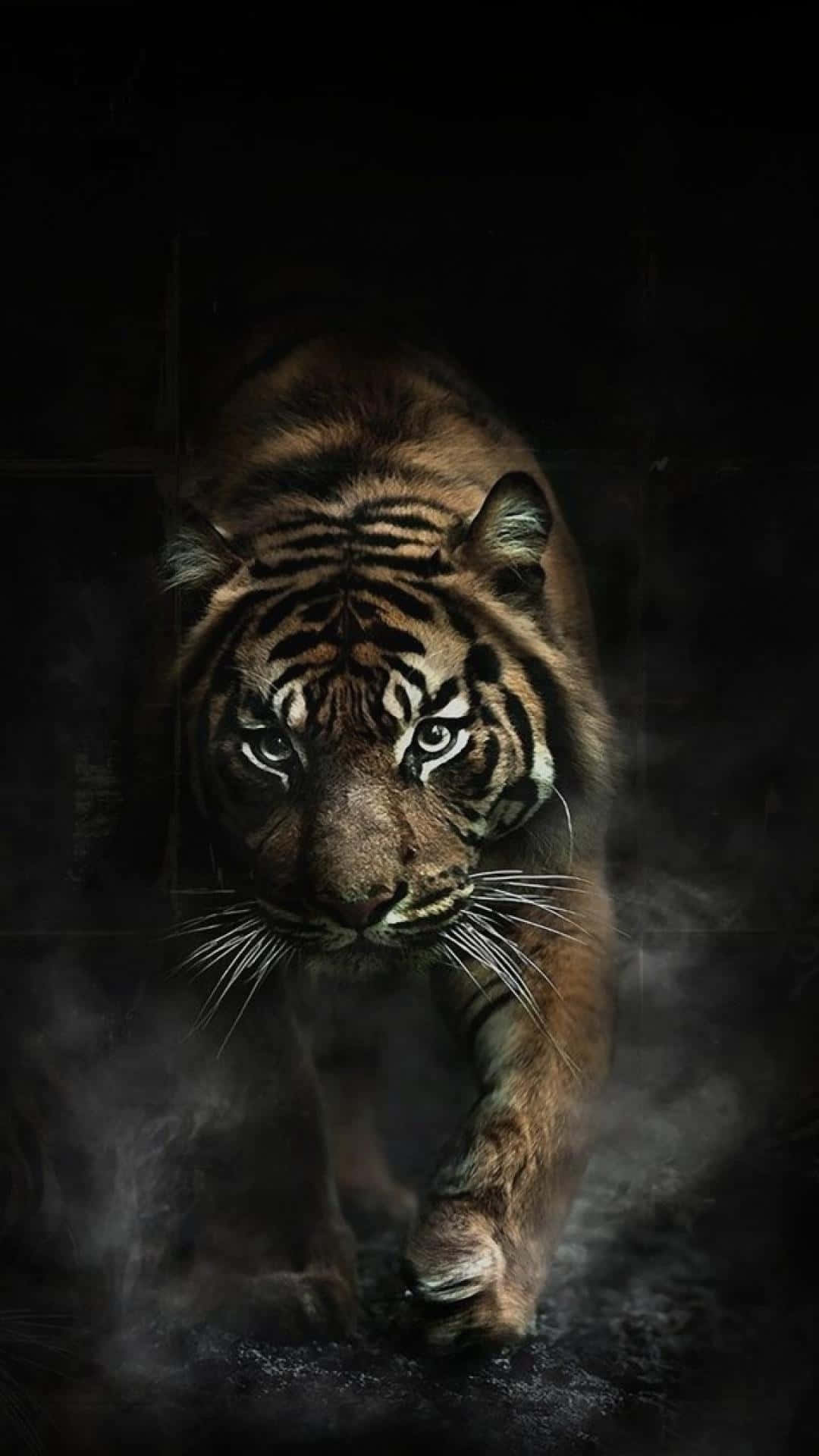 Professional Tiger Background