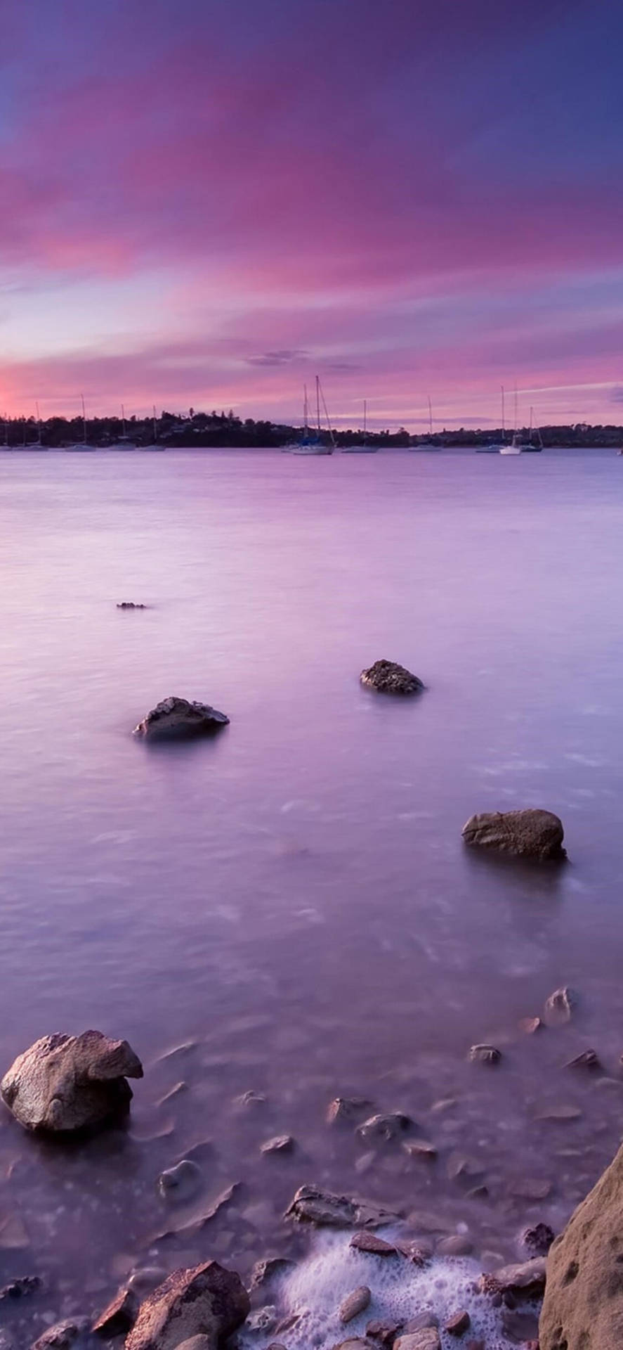 Samsung Collection #10